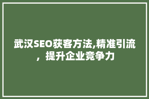武汉SEO获客方法,精准引流，提升企业竞争力
