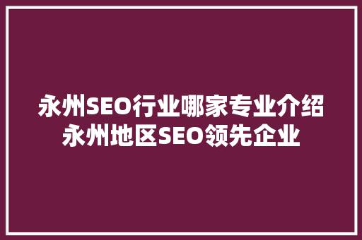 永州SEO行业哪家专业介绍永州地区SEO领先企业