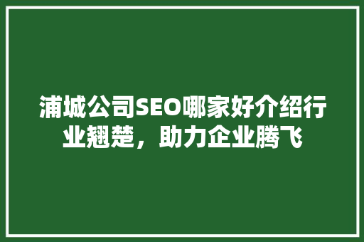 浦城公司SEO哪家好介绍行业翘楚，助力企业腾飞