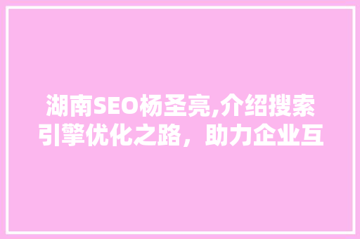 湖南SEO杨圣亮,介绍搜索引擎优化之路，助力企业互联网营销腾飞