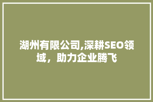 湖州有限公司,深耕SEO领域，助力企业腾飞