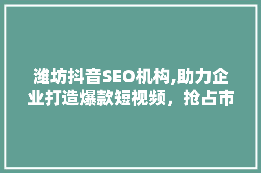 潍坊抖音SEO机构,助力企业打造爆款短视频，抢占市场先机