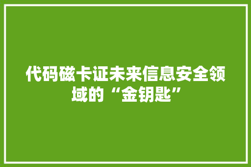 代码磁卡证未来信息安全领域的“金钥匙”