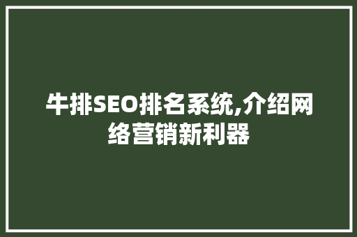 牛排SEO排名系统,介绍网络营销新利器