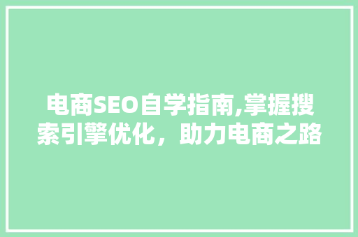 电商SEO自学指南,掌握搜索引擎优化，助力电商之路