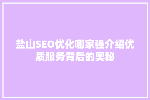 盐山SEO优化哪家强介绍优质服务背后的奥秘