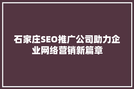 石家庄SEO推广公司助力企业网络营销新篇章