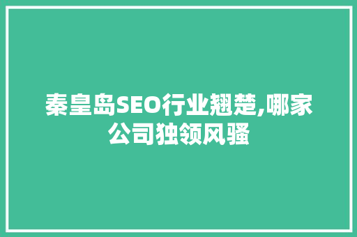 秦皇岛SEO行业翘楚,哪家公司独领风骚