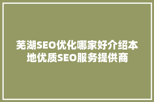 芜湖SEO优化哪家好介绍本地优质SEO服务提供商