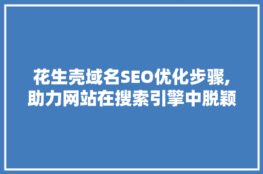 花生壳域名SEO优化步骤,助力网站在搜索引擎中脱颖而出