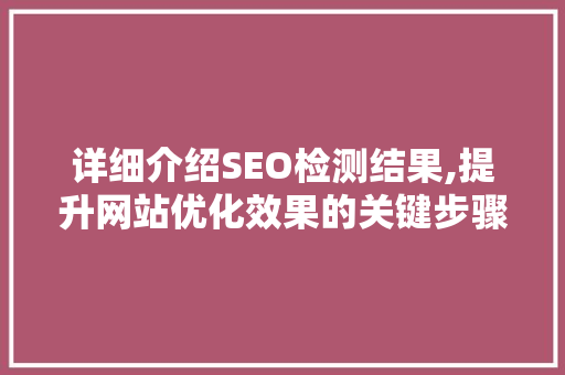 详细介绍SEO检测结果,提升网站优化效果的关键步骤