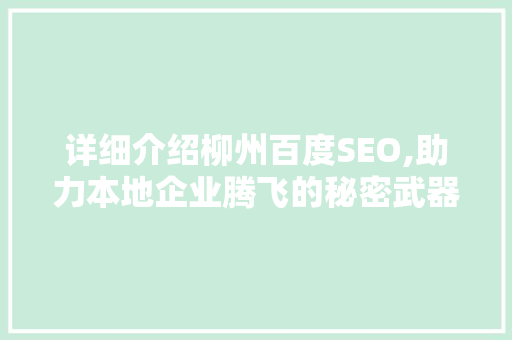 详细介绍柳州百度SEO,助力本地企业腾飞的秘密武器