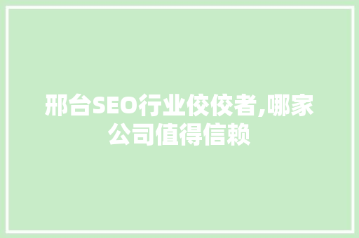 邢台SEO行业佼佼者,哪家公司值得信赖