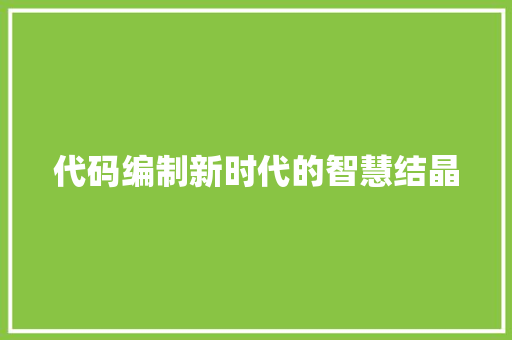 代码编制新时代的智慧结晶