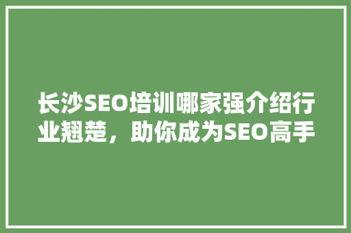 长沙SEO培训哪家强介绍行业翘楚，助你成为SEO高手！