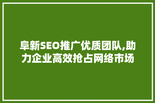 阜新SEO推广优质团队,助力企业高效抢占网络市场