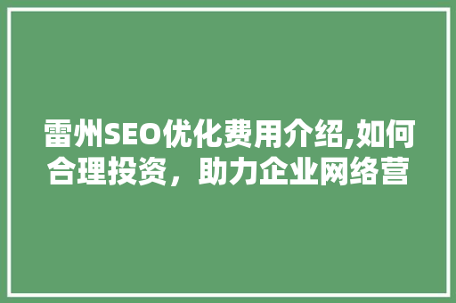 雷州SEO优化费用介绍,如何合理投资，助力企业网络营销