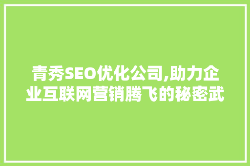青秀SEO优化公司,助力企业互联网营销腾飞的秘密武器