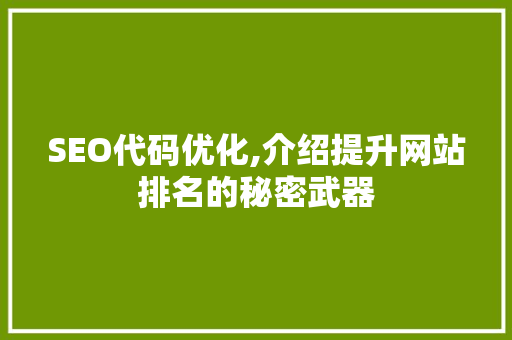 SEO代码优化,介绍提升网站排名的秘密武器