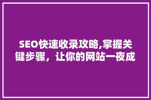 SEO快速收录攻略,掌握关键步骤，让你的网站一夜成名