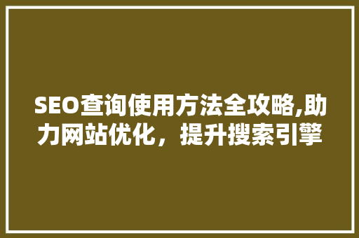 SEO查询使用方法全攻略,助力网站优化，提升搜索引擎排名