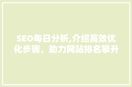 SEO每日分析,介绍高效优化步骤，助力网站排名攀升