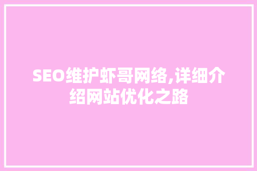 SEO维护虾哥网络,详细介绍网站优化之路