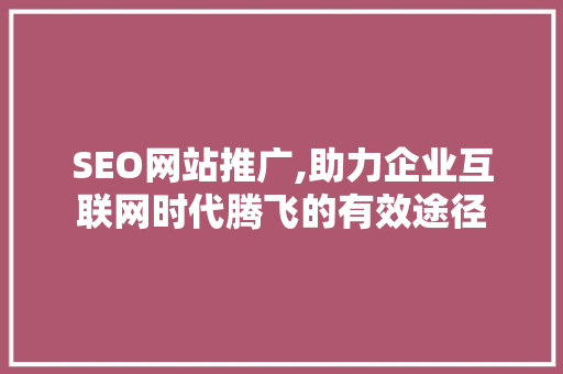 SEO网站推广,助力企业互联网时代腾飞的有效途径