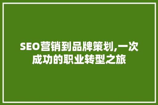SEO营销到品牌策划,一次成功的职业转型之旅