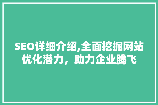 SEO详细介绍,全面挖掘网站优化潜力，助力企业腾飞