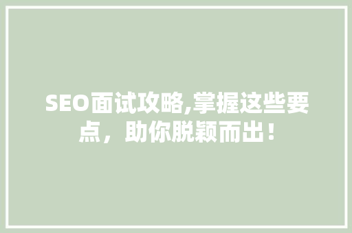 SEO面试攻略,掌握这些要点，助你脱颖而出！