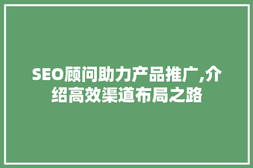 SEO顾问助力产品推广,介绍高效渠道布局之路