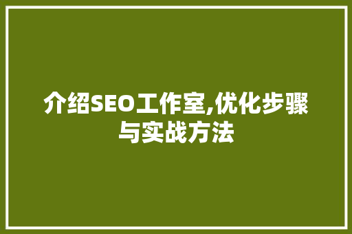 介绍SEO工作室,优化步骤与实战方法