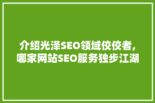 介绍光泽SEO领域佼佼者,哪家网站SEO服务独步江湖