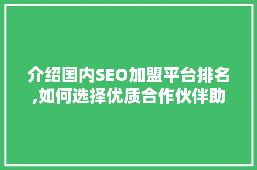 介绍国内SEO加盟平台排名,如何选择优质合作伙伴助力企业腾飞