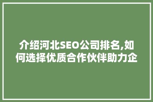 介绍河北SEO公司排名,如何选择优质合作伙伴助力企业腾飞