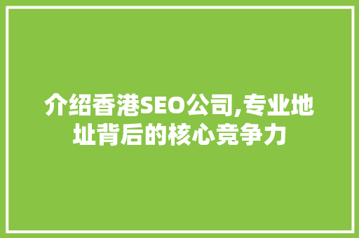 介绍香港SEO公司,专业地址背后的核心竞争力
