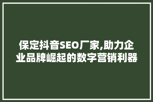 保定抖音SEO厂家,助力企业品牌崛起的数字营销利器