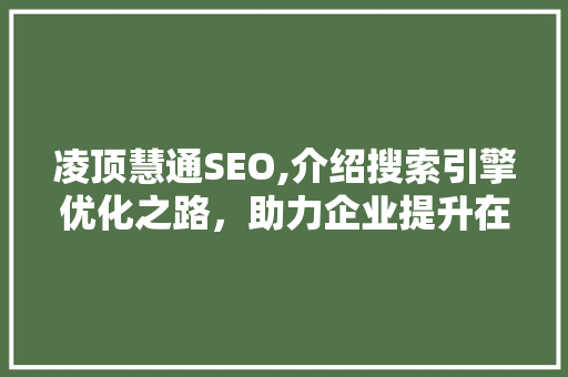 凌顶慧通SEO,介绍搜索引擎优化之路，助力企业提升在线竞争力