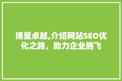 博星卓越,介绍网站SEO优化之路，助力企业腾飞