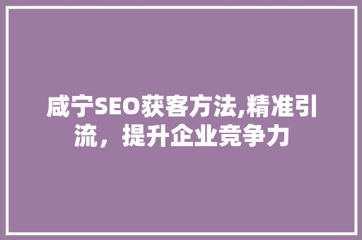 咸宁SEO获客方法,精准引流，提升企业竞争力