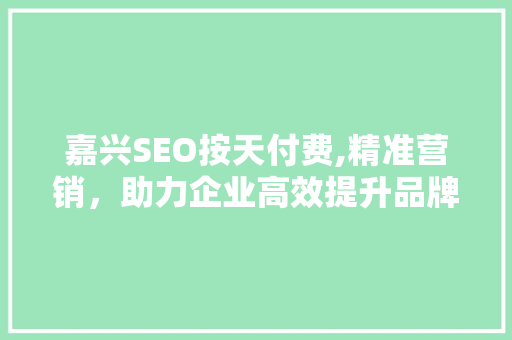 嘉兴SEO按天付费,精准营销，助力企业高效提升品牌知名度