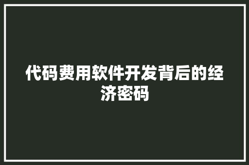代码费用软件开发背后的经济密码