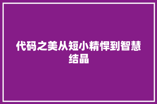 代码之美从短小精悍到智慧结晶