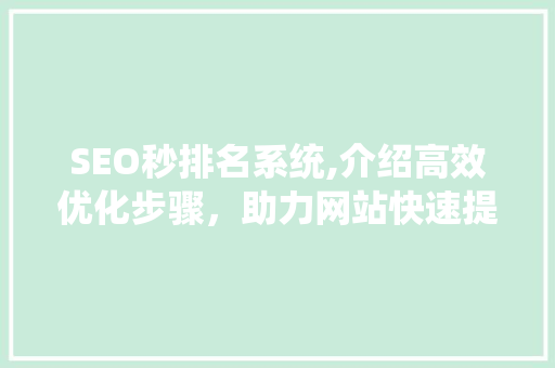 SEO秒排名系统,介绍高效优化步骤，助力网站快速提升排名