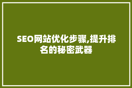 SEO网站优化步骤,提升排名的秘密武器