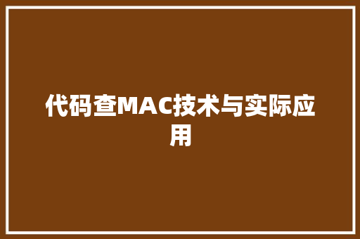 代码查MAC技术与实际应用