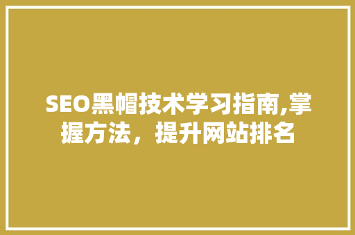 SEO黑帽技术学习指南,掌握方法，提升网站排名