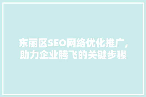 东丽区SEO网络优化推广,助力企业腾飞的关键步骤