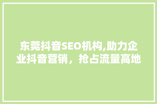 东莞抖音SEO机构,助力企业抖音营销，抢占流量高地